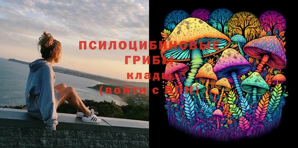 кокс Богородск
