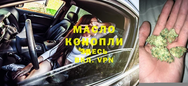 гидра Богданович