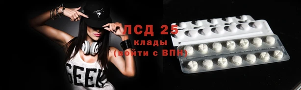 гидра Богданович