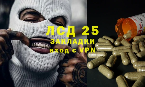 гидра Богданович
