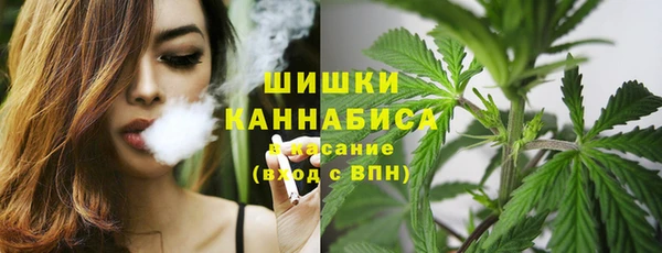 спиды Белокуриха