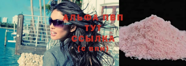 гидра Богданович