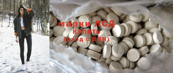гидра Богданович